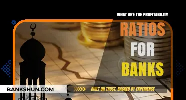 Understanding Bank Profitability: Key Ratios for Financial Analysis