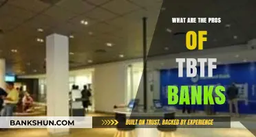TBTF Banks: Exploring the Pros of Their Economic Influence