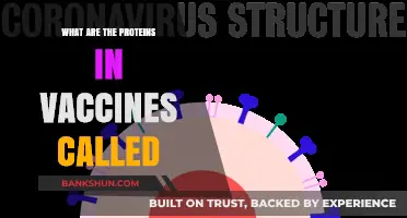 Understanding Vaccine Proteins: What Are They Called and How Do They Work?