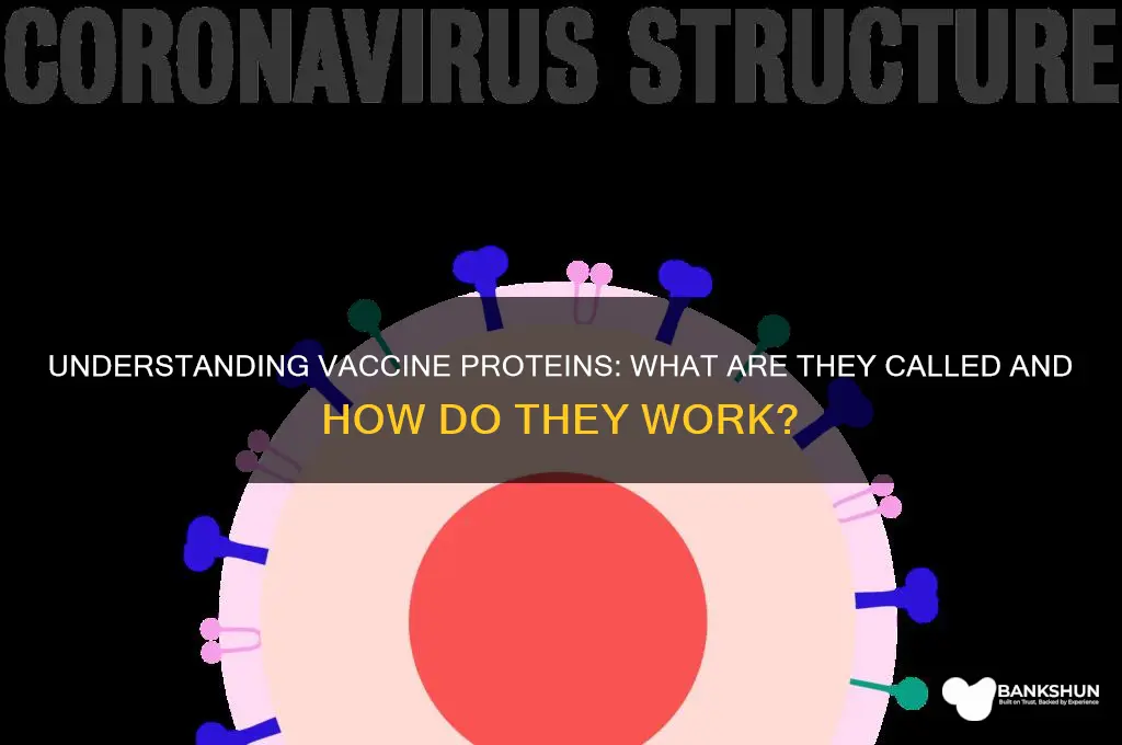 what are the proteins in vaccines called