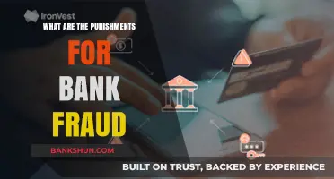 Understanding the Severe Legal Consequences of Bank Fraud: Punishments Explained