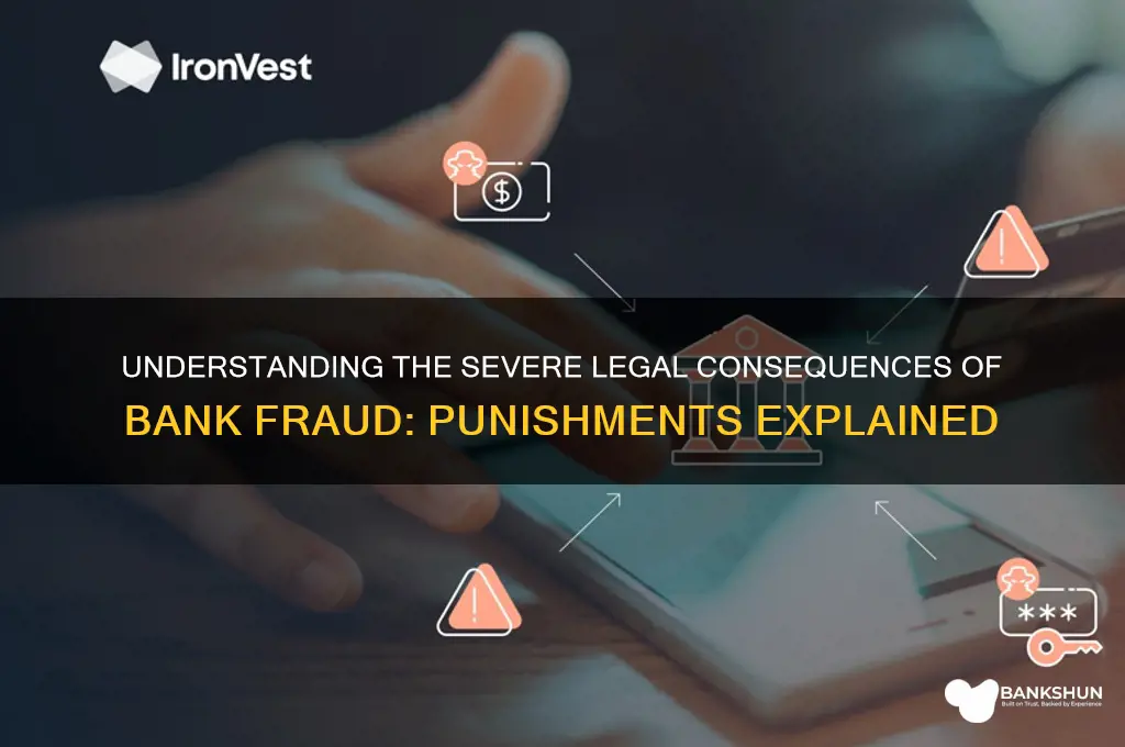 what are the punishments for bank fraud
