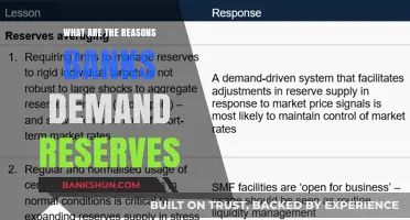 Why Banks Demand Reserves: Key Financial Stability Reasons Explained