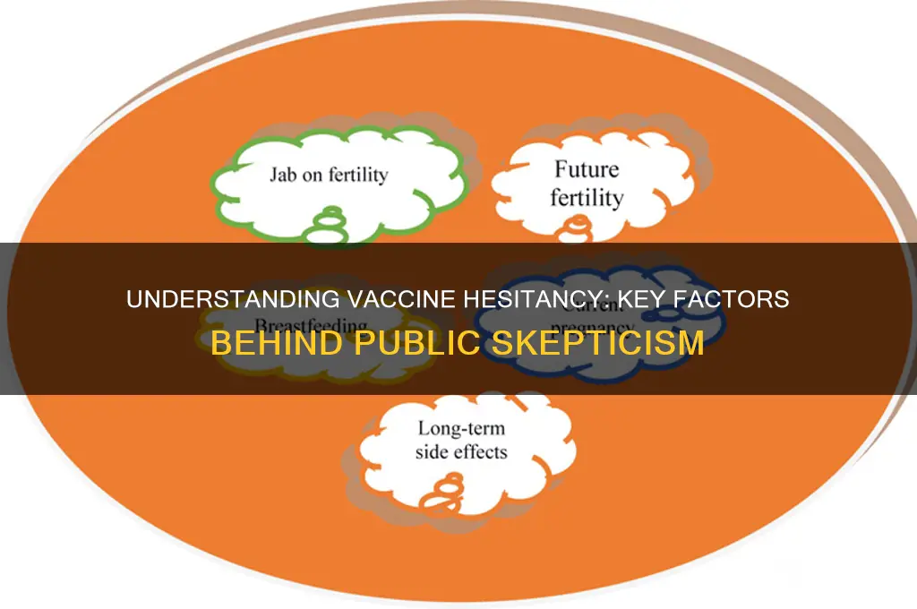 what are the reasons for vaccine hesitancy