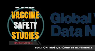 Recent Vaccine Safety Studies: Key Findings and Public Health Insights