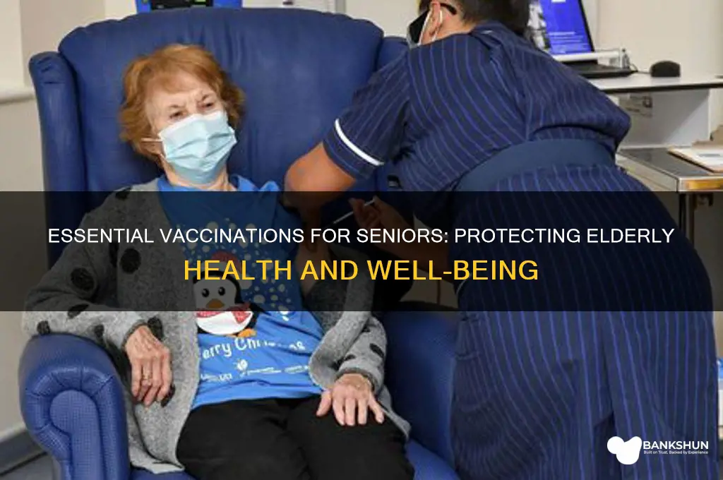 what are the recommended vaccinations for elderly