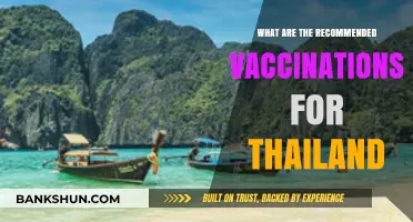 Essential Vaccinations for Safe Travel to Thailand: A Comprehensive Guide