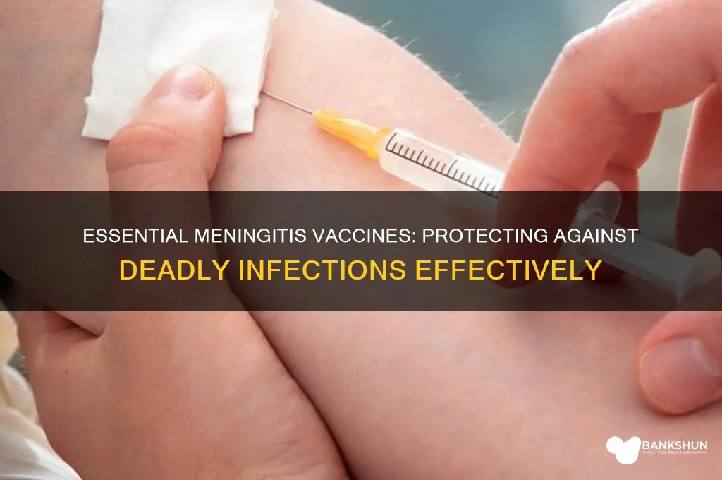 what are the recommended vaccines fo meningitis