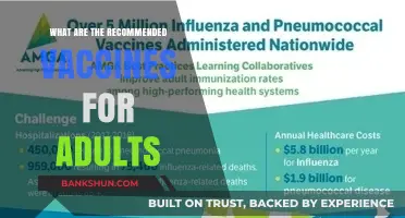 Essential Adult Vaccines: Protecting Health Across All Life Stages