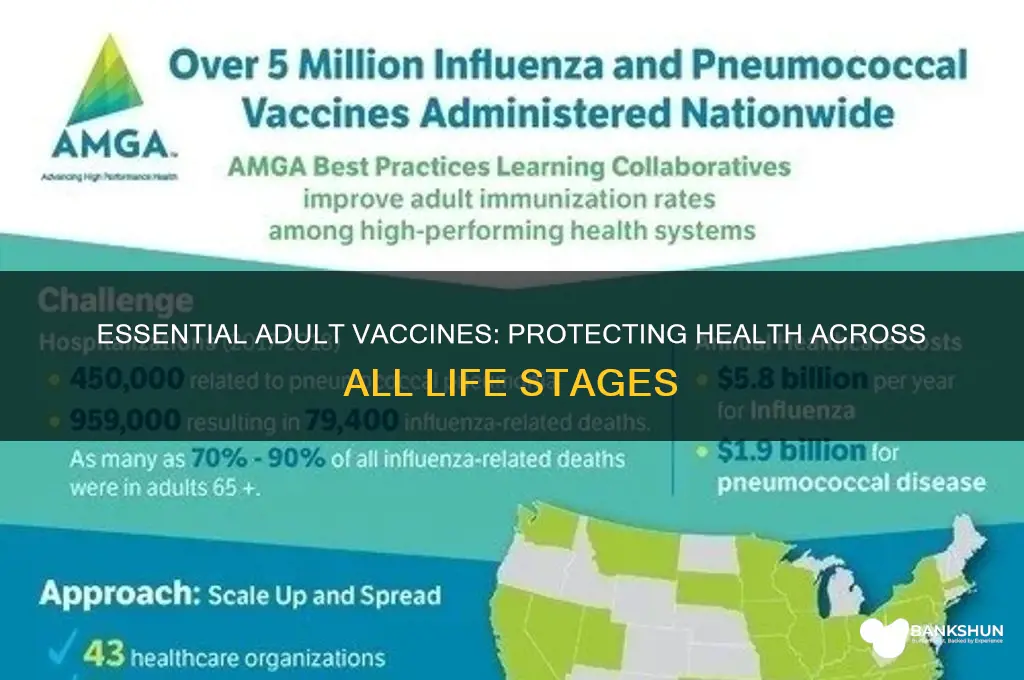 what are the recommended vaccines for adults