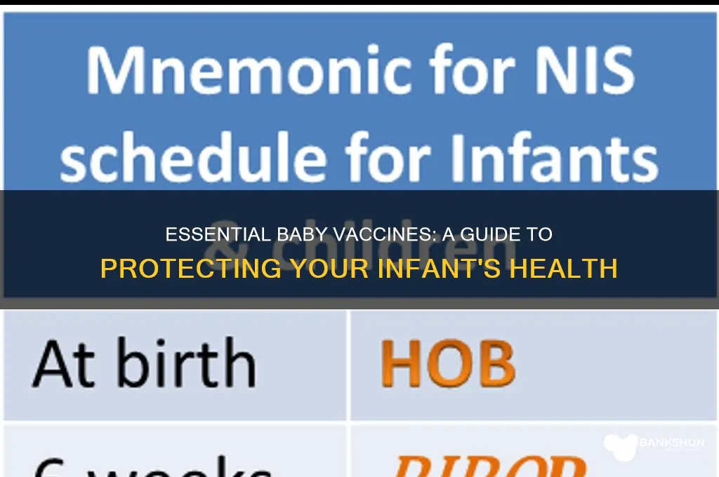 what are the recommended vaccines for babies