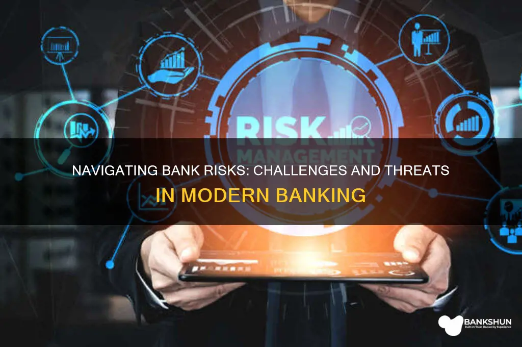 what are the risk faced by banks