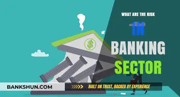 Navigating Banking Sector Risks: Challenges, Threats, and Mitigation Strategies