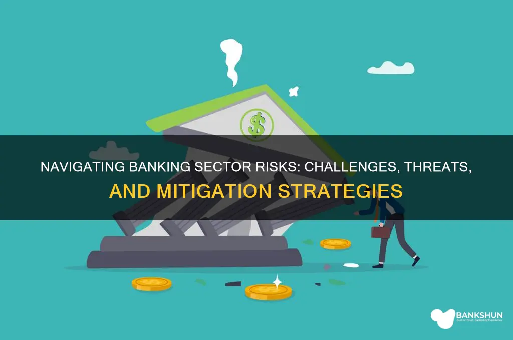 what are the risk in banking sector