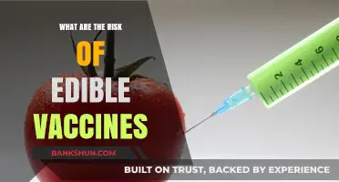 Exploring the Potential Risks of Edible Vaccines: Safety and Concerns