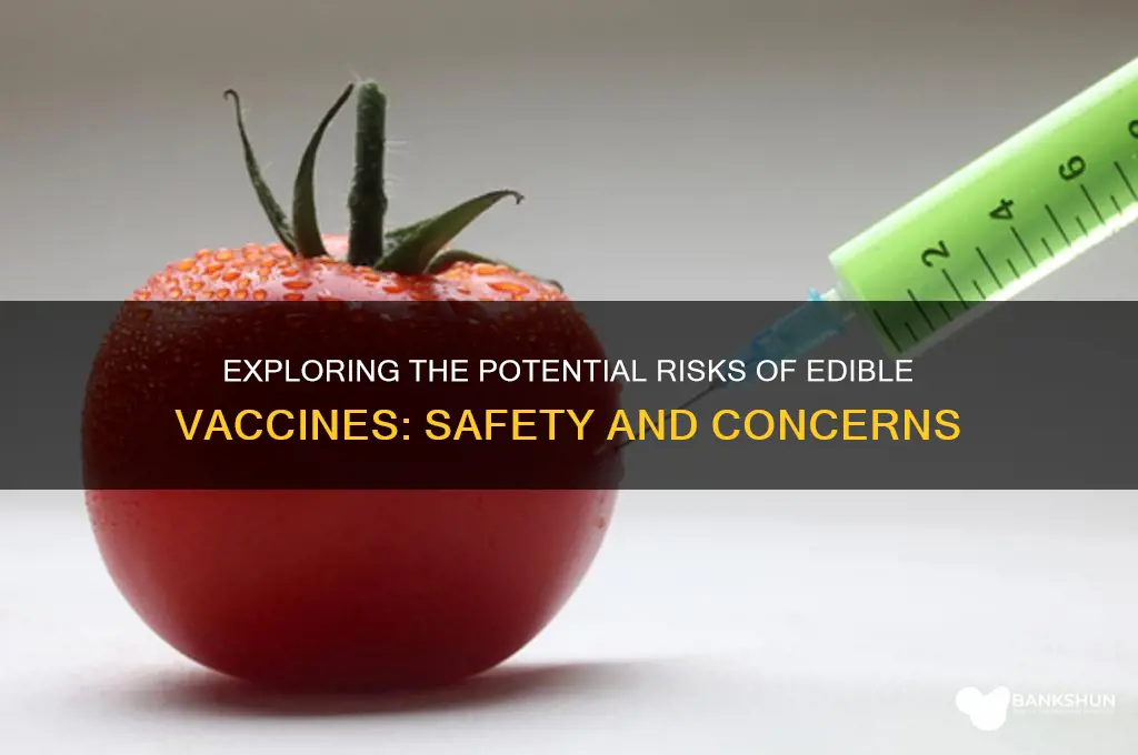 what are the risk of edible vaccines