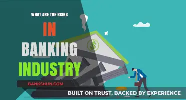 Navigating the Banking Industry: Key Risks and Challenges Explained