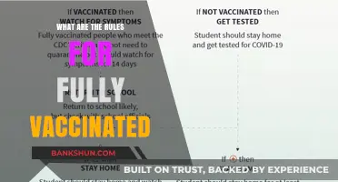 Fully Vaccinated: Understanding Post-Vaccination Guidelines and Freedoms