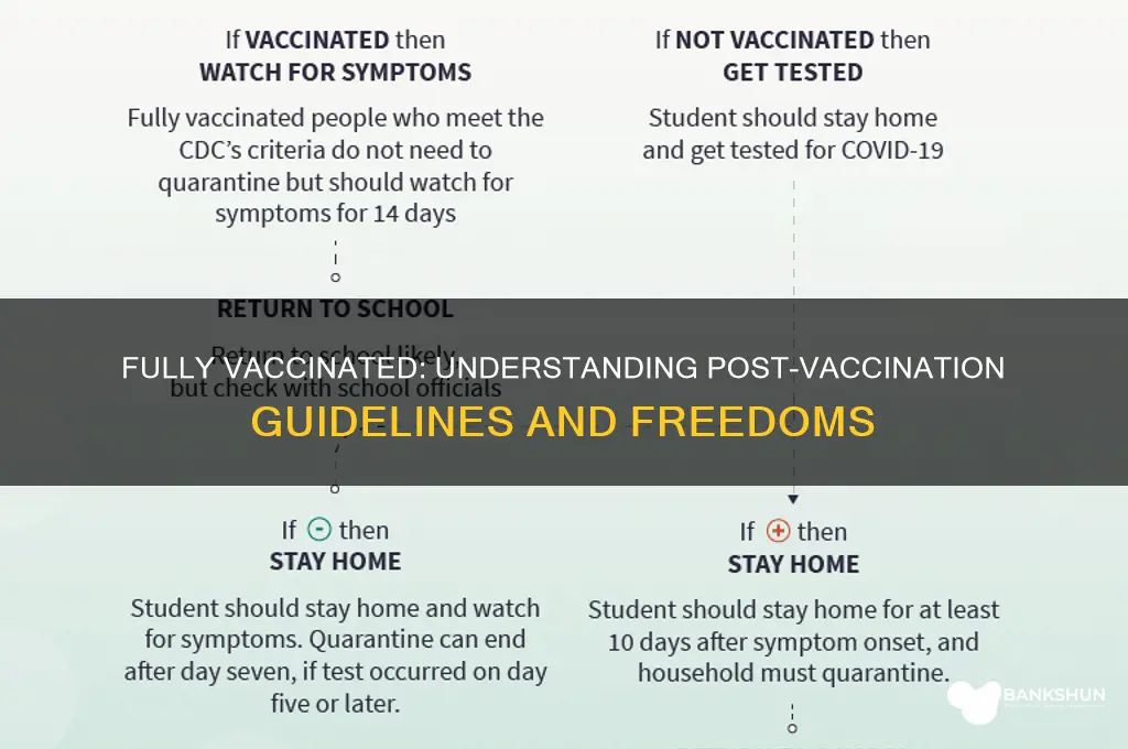 what are the rules for fully vaccinated