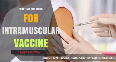 Intramuscular Vaccine Administration: Essential Rules for Safe and Effective Delivery