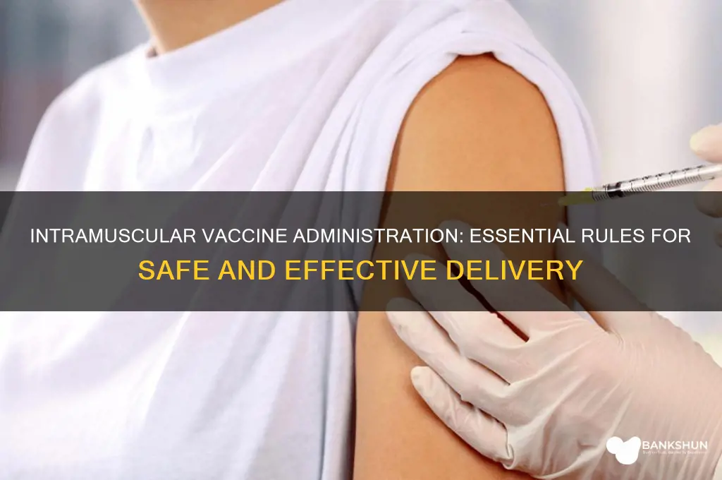 what are the rules for intramuscular vaccine