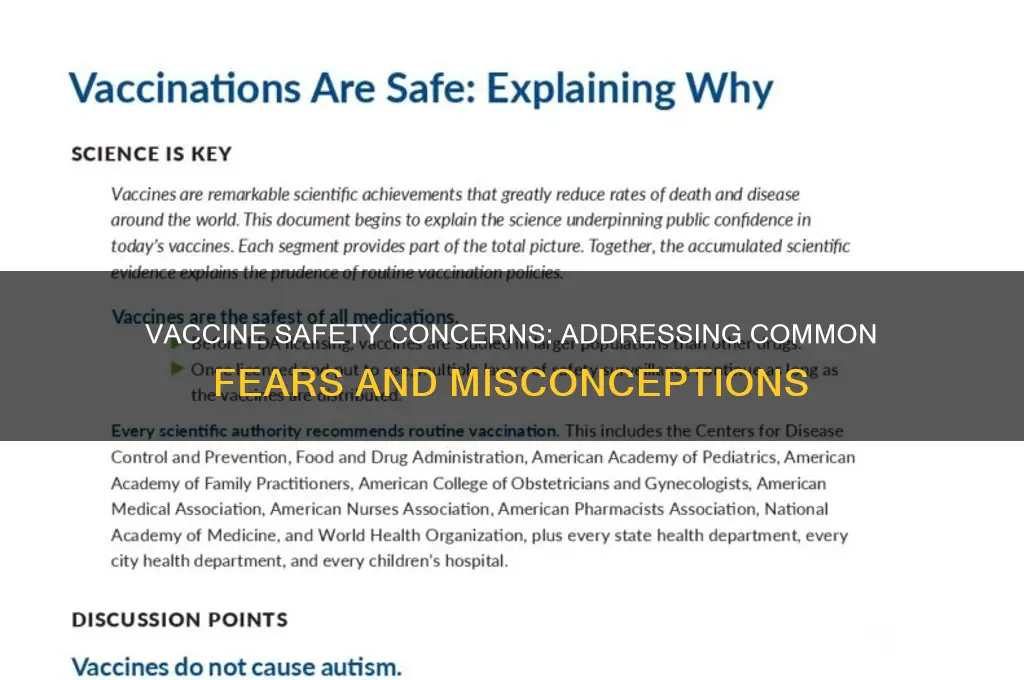 what are the safety concerns for vaccines