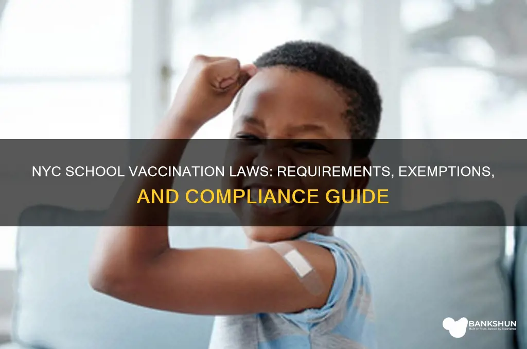 what are the school vaccination laws nyc