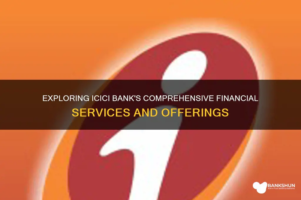 what are the services of icici bank