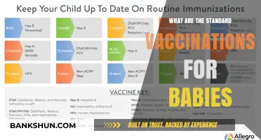 Essential Baby Vaccinations: A Guide to Standard Immunizations for Infants