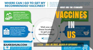 Essential Vaccines in the US: A Comprehensive Guide to Standard Immunizations