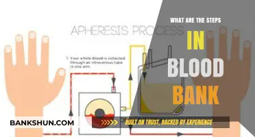 Understanding Blood Bank Procedures: Essential Steps for Safe Transfusions