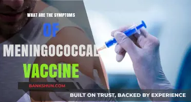 Understanding Meningococcal Vaccine Side Effects and Common Symptoms