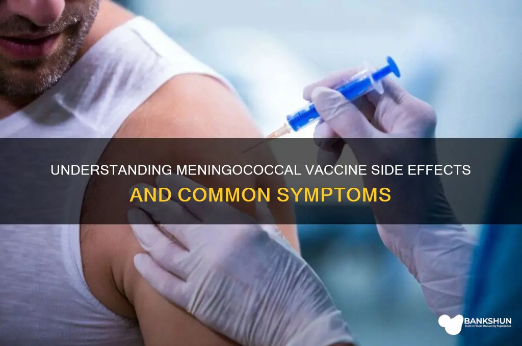 what are the symptoms of meningococcal vaccine