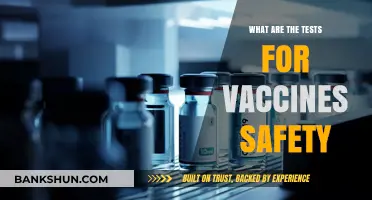 Ensuring Vaccine Safety: Key Tests and Protocols Explained