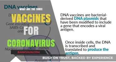 Three Essential Coronavirus Vaccines: Types, Benefits, and Availability