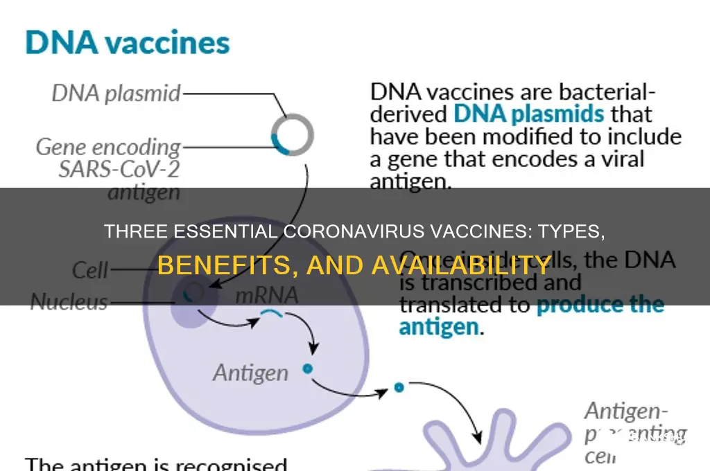 what are the three vaccines for coronavirus