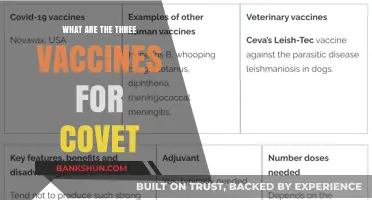Understanding COVID-19: Three Key Vaccines and Their Importance