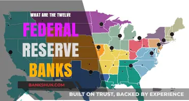 Understanding the Twelve Federal Reserve Banks: Roles and Functions