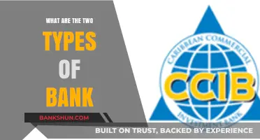 Exploring Commercial and Investment Banks: Understanding the Two Primary Types