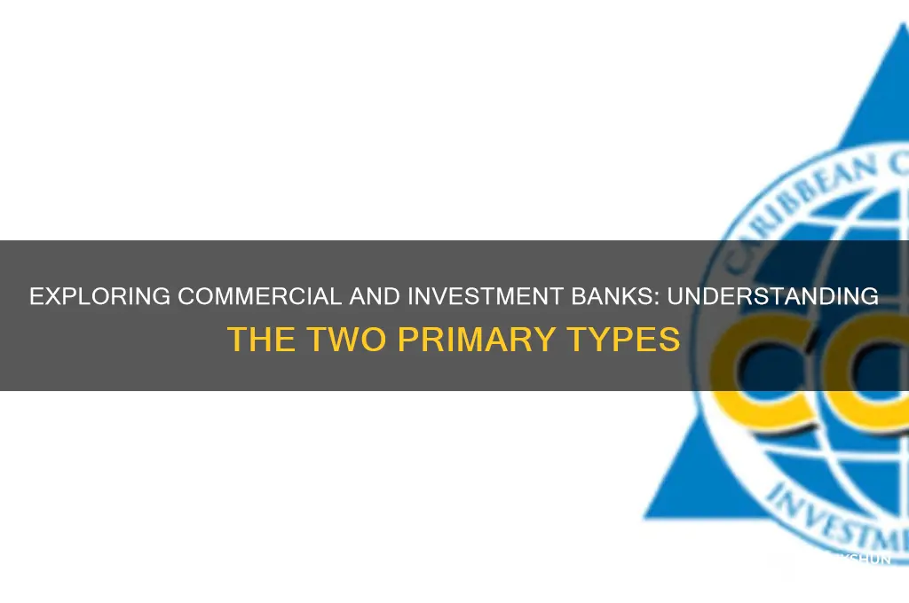 what are the two types of bank