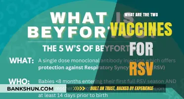 Understanding RSV Prevention: Two Essential Vaccines Explained