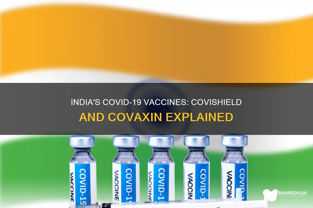 what are the two vaccines in india