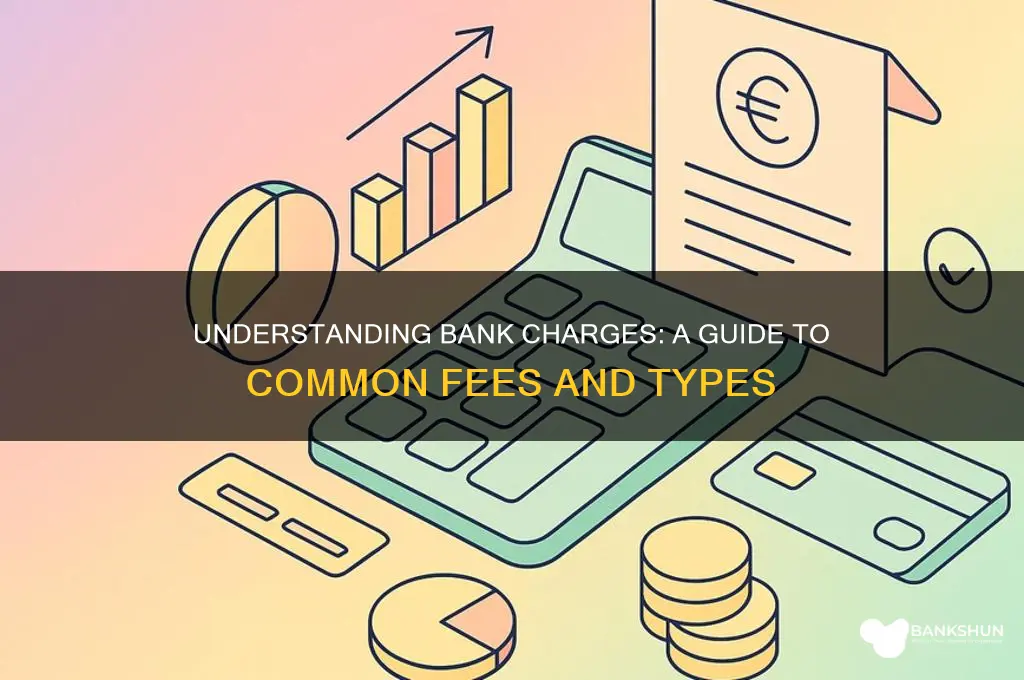 what are the types of bank charges
