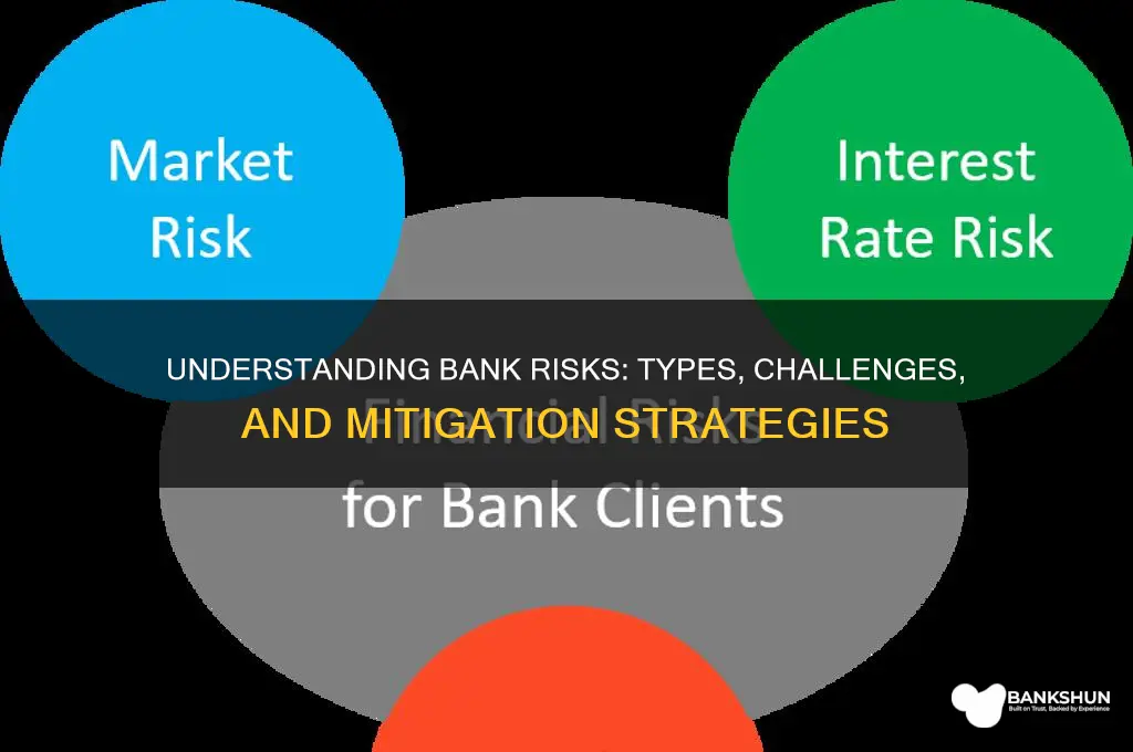 what are the types of bank risks