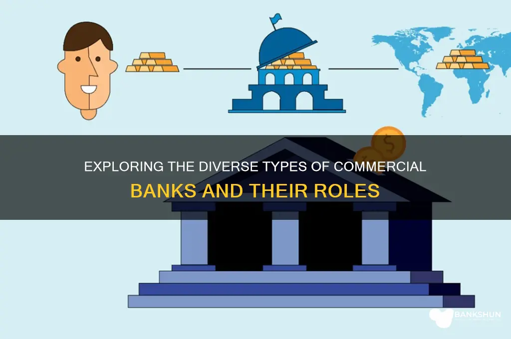 what are the types of commercial bank