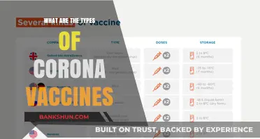 Exploring the Different Types of COVID-19 Vaccines Available
