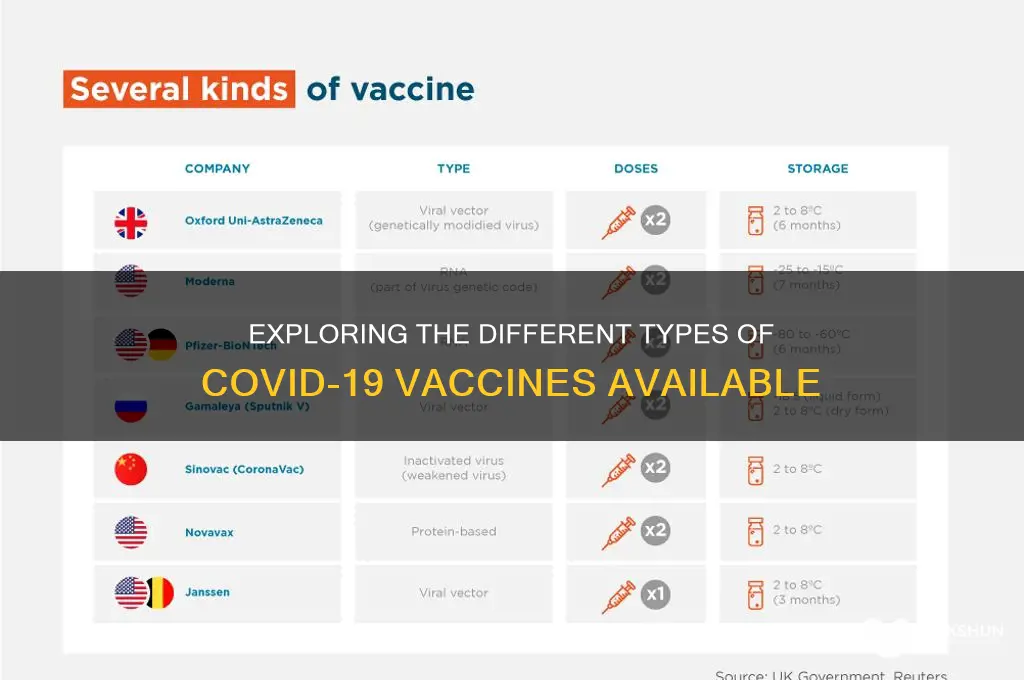 what are the types of corona vaccines
