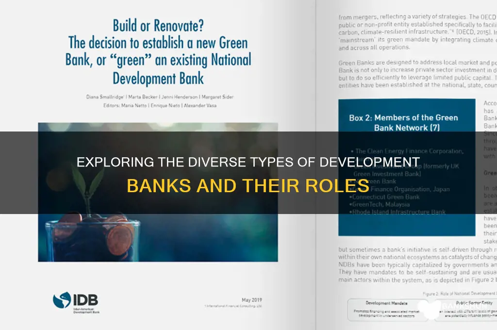 what are the types of development banks