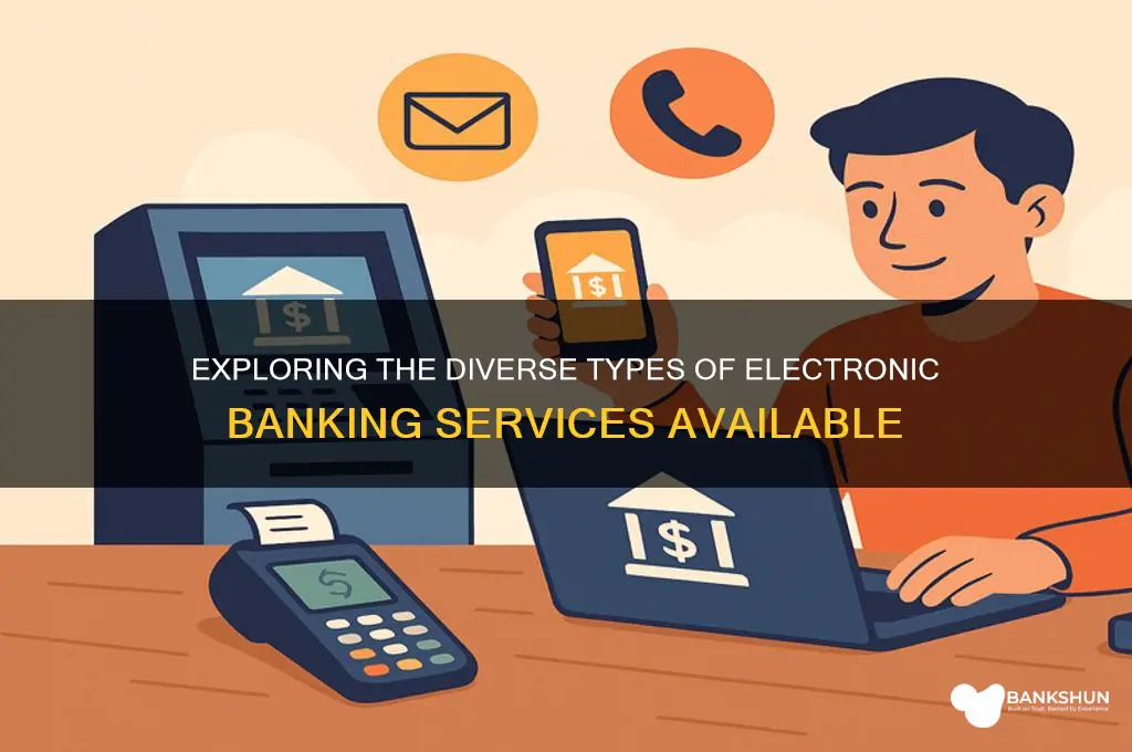 what are the types of electronic banking