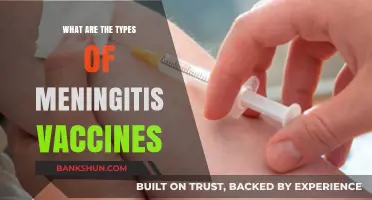 Understanding Meningitis Vaccines: Types, Benefits, and Protection